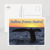 Carte Postale Argentine - Ballena franca austral - (Devant / Derrière)