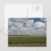 Carte Postale Argentine, Buenos Aires, San Antonio de Areco. (Devant / Derrière)