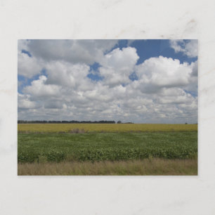 Carte Postale Argentine, Buenos Aires, San Antonio de Areco.