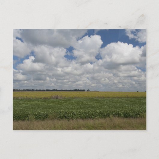 Carte Postale Argentine, Buenos Aires, San Antonio de Areco. (Devant)