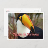Carte Postale Argentine - Tucán de Formosa (Devant / Derrière)
