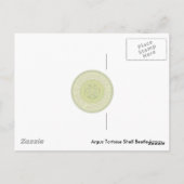 Carte postale Argus Tortoise Shell Beetle Larva (Dos)