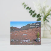 Carte Postale Argyroxiphium, Dunes de sable, Parc national de Ha (Debout devant)