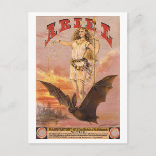 Carte Postale Ariel en chauve-souris