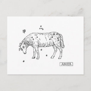Carte Postale Aries