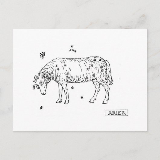 Carte Postale Aries (Devant)