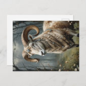 Carte Postale Aries (Devant / Derrière)