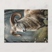 Carte Postale Aries (Devant)