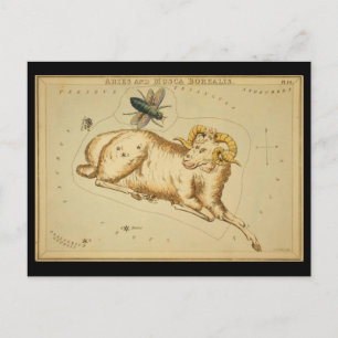 Carte Postale Aries et Musca Borealis