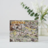Carte postale Arizona (Debout devant)