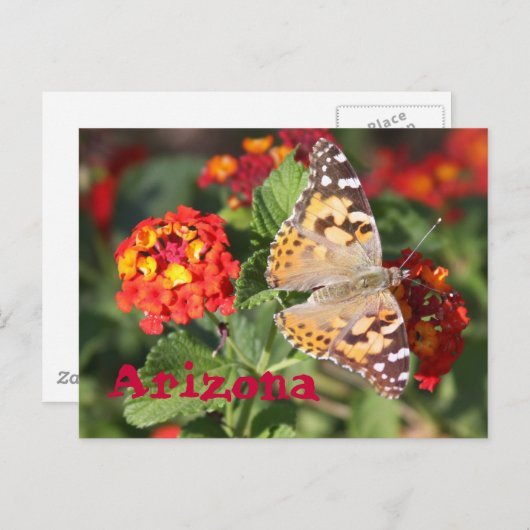 Carte Postale Arizona (Devant / Derrière)