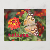 Carte Postale Arizona (Devant)