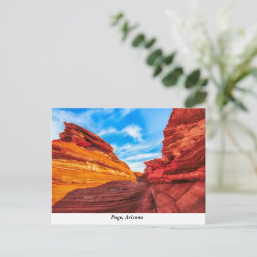 Carte postale Arizona (Debout devant)