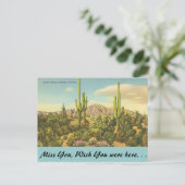 Carte Postale Arizona, Cactus géant (Debout devant)