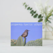 Carte Postale Arizona Cactus Wren (Debout devant)