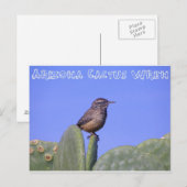Carte Postale Arizona Cactus Wren (Devant / Derrière)