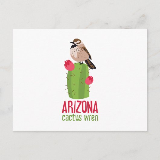 Carte Postale Arizona Cactus Wren (Devant)
