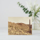 Carte postale Arizona Desert (Debout devant)