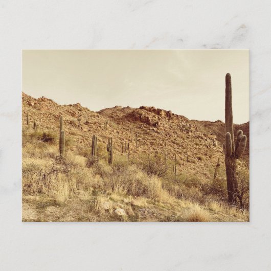 Carte postale Arizona Desert (Devant)