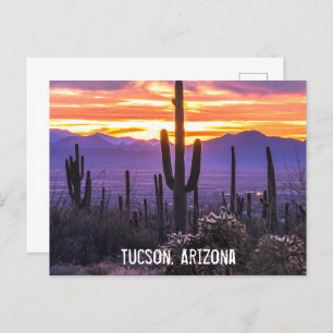 Carte Postale Arizona Désert Cactus Coucher de soleil Nature Pho