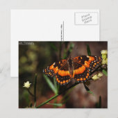 Carte Postale Arizona Gratuit (Devant / Derrière)