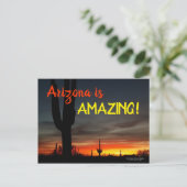 Carte Postale "Arizona is Amazing !" Cactus Sunset Sonoran (Debout devant)