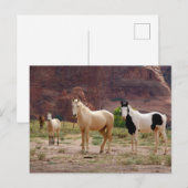 Carte Postale Arizona, Navajo réserve indienne, Chinle, (Devant / Derrière)