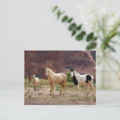 Carte Postale Arizona, Navajo réserve indienne, Chinle, (Debout devant)