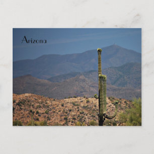 Carte Postale Arizona Postcard