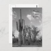 Carte postale Arizona Saguaro (Devant / Derrière)