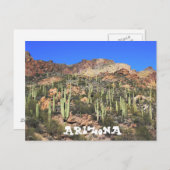 Carte postale Arizona Saguaro Cactus (Devant / Derrière)