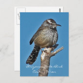 Carte Postale Arizona State Bird (Devant / Derrière)