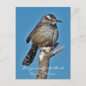 Carte Postale Arizona State Bird (Devant)