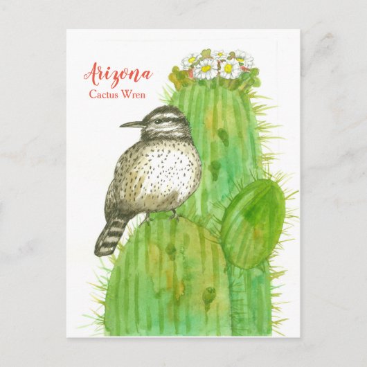 Carte Postale Arizona State Bird Cactus Wren White Blossoms (Devant)