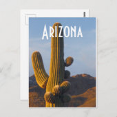 Carte Postale Arizona Sunlit Saguaro (Devant / Derrière)