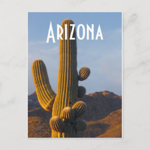 Carte Postale Arizona Sunlit Saguaro