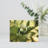 Carte Postale "Arizona verte" (Debout devant)