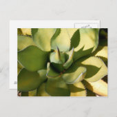 Carte Postale "Arizona verte" (Devant / Derrière)