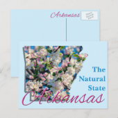 Carte postale - ARKANSAS (Devant / Derrière)