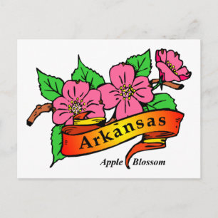 Carte Postale Arkansas Apple Blossom