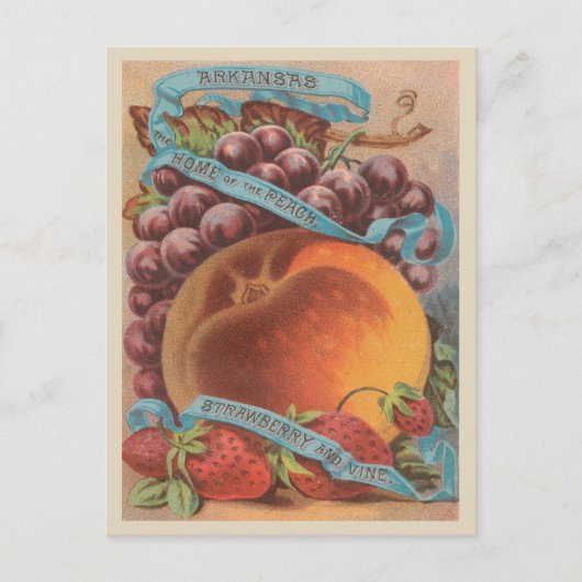 Carte Postale Arkansas fraises de pêche Vintage (Devant)