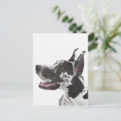Carte Postale Arlequin Great Dane (Debout devant)
