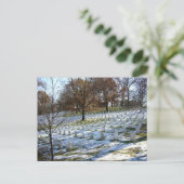 Carte Postale Arlington (Debout devant)