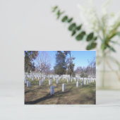 Carte Postale Arlington Cemetary (Debout devant)