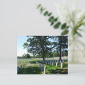 Carte Postale Arlington National Cemetary (Debout devant)