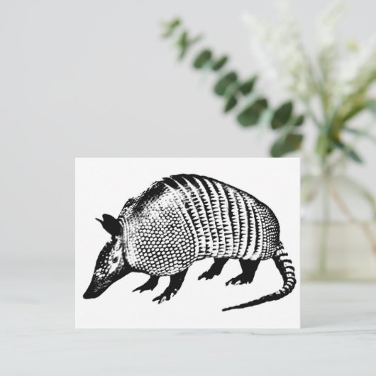 Carte Postale Armadillo (Debout devant)