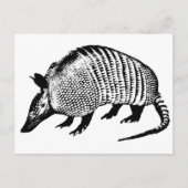Carte Postale Armadillo (Devant)
