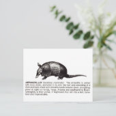 Carte Postale armadillo (Debout devant)