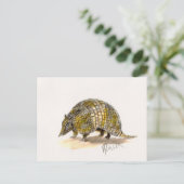 Carte postale Armadillo (Debout devant)