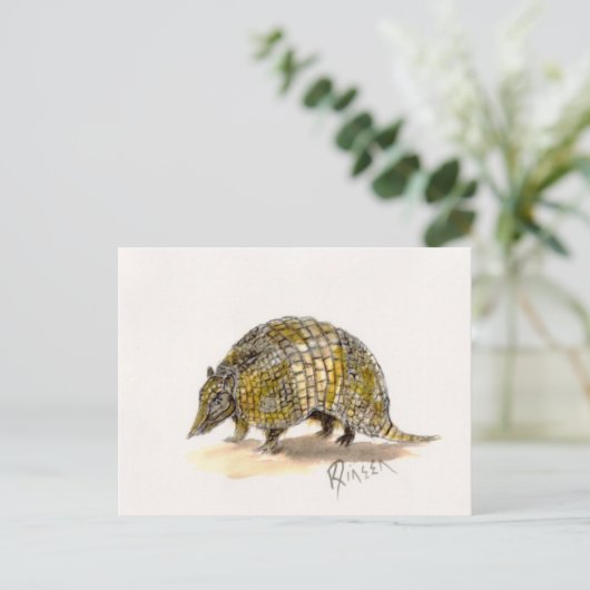 Carte postale Armadillo (Debout devant)